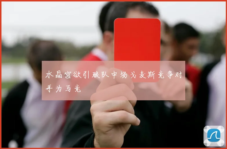 水晶宫欲引狼队中场戈麦斯竞争对手为马竞